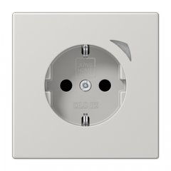 Kontaktligzda SCHUKO, 16 A 250 V ~, skrūvju spailes, ar indikātoru un bērnu drošību, termoplasts, Serie LS, gaiši pelēks