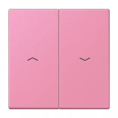 Taustiņs 2-viet žalūziju slēdzim, ar virzienrādītāju, Serie LS, rose vif