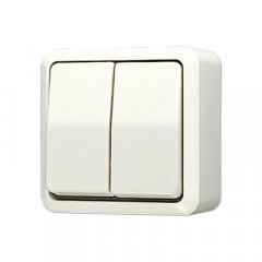 Slēdzis 1+1 v/a ziloņkaula AP600