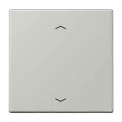 Taustiņs 1-viet, ar virzienrādītāju, Serie LS, gris clair 31