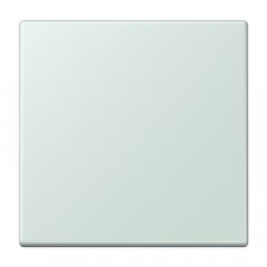 LB-Management taustiņš 1-viet, duroplasts krāsots, Serie LS, céruléen pale