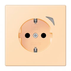 Kontaktligzda JUNG HOME SCHUKO, 16 A 250 V ~, skrūvju spailes, ar indikātoru un bērnu drošību, termoplasts krāsots