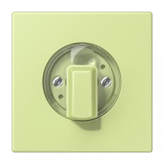 Virsma ar grozāmu slēdzi, Serie LS, vert jaune clair