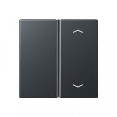 Taustiņs slēdzim 1-viet, ar virzienrādītāju, F40, Serie A, antracīts matēts