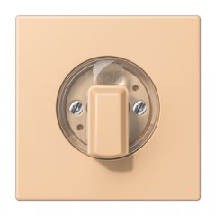 Virsma ar grozāmu slēdzi, Serie LS, terre sienne claire 31