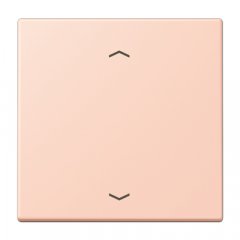 Taustiņs KNX slēdzim, ar virzienrādītāju 1-viet, Serie LS, l'ocre rouge clair