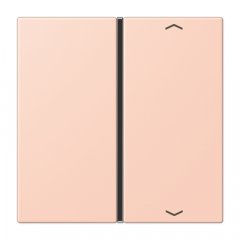 Taustiņs slēdzim 1-viet, ar virzienrādītāju, F40, Serie LS, l'ocre rouge clair