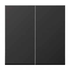 LB-Management taustiņš 2-viet, Aluminium lackiert, Serie LS, tumša (lackiertes Aluminium)