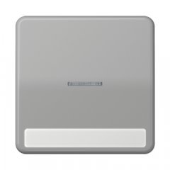 Taustiņs 1-viet, ar indikācijas logu, marķējams, duroplasts, Serie CD, grau