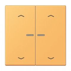 JUNG HOME taustiņš 2-viet, ar bultiņu simboliem<br />
, Serie LS, ocre jaune clair