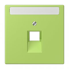 Virsma IAE/UAE-datu rozetei 1 x 8-polig, marķējams, termoplasts lakots, Serie LS, vert clair