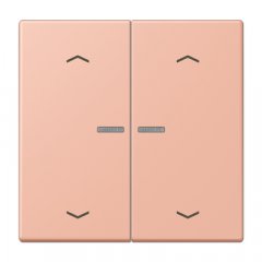 JUNG HOME taustiņš 2-viet, ar bultiņu simboliem<br />
, Serie LS, rose clair