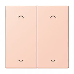 Taustiņs KNX slēdzim, ar virzienrādītāju 2-viet, Serie LS, l'ocre rouge clair