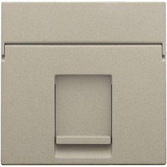 Central plate data 1x RJ, champagne coated