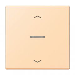 JUNG HOME taustiņš 1-viet, ar bultiņu simboliem<br />
, Serie LS, ocre