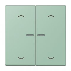 Taustiņs KNX slēdzim ar indikācijas logu un virzienrādītāju 2-viet, Serie LS, vert anglais clair