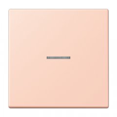 JUNG HOME taustiņš 1-viet, Serie LS, l'ocre rouge clair