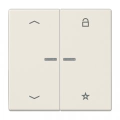 eNet taustiņš unversālais 2-viet, ar bultiņu simboliem<br />
, duroplasts, Serie LS, ziloņkaula