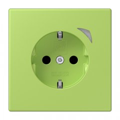 Kontaktligzda JUNG HOME SCHUKO, 16 A 250 V ~, skrūvju spailes, ar indikātoru un bērnu drošību, termoplasts krāsots