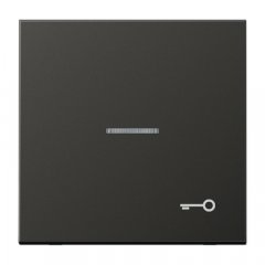 Taustiņš ar indikācijas logu, ar simbolu, Aluminium lackiert, Serie LS, antracīts (lakots alumīnijs)