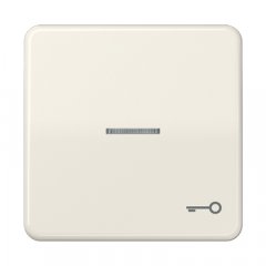 Taustiņš ar indikācijas logu, ar simbolu, duroplasts, Serie CD, ziloņkaula