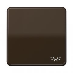 Taustiņs 1-viet, ar spuldzes simbolu, duroplasts, Serie CD, brūns