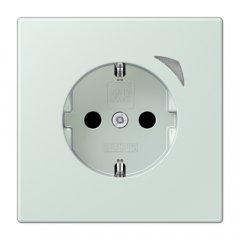 Kontaktligzda JUNG HOME SCHUKO, 16 A 250 V ~, Energy, skrūvju spailes, ar indikātoru un bērnu drošību, termoplasts