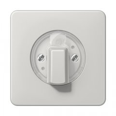 Virsma ar grozāmu slēdzi, duroplasts, Serie CD, gaiši pelēks