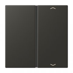 Taustiņs slēdzim 1-viet, ar virzienrādītāju, F40, Serie LS, ombre naturelle 59