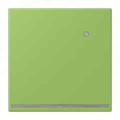 LED-dežūrgaisma ar integrētu spilgtuma sensoru, Thermoplast lackiert, Serie LS, vert 31