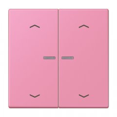 JUNG HOME taustiņš 2-viet, ar bultiņu simboliem<br />
, Serie LS, rose vif