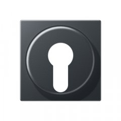 Virsma slēdzim ar atslēgu, termoplasts lakots, Serie A, anthrazit matt