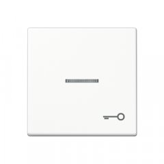 Taustiņš ar indikācijas logu, ar simbolu, duroplasts, Serie A, balts