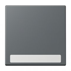 Taustiņs 1-viet, marķējams, Serie LS, gris foncé 31