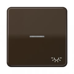 Taustiņs 1-viet, ar indikācijas logu, ar spuldzes simbolu, duroplasts, Serie CD, brūns