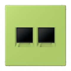 Virsma (ar fiksatoru) modulārai datu rozetei 2-vietīga, UMA-CAT6A, termoplasts lakots, Serie LS, vert clair