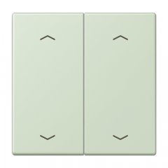 Taustiņs KNX slēdzim, ar virzienrādītāju 2-viet, Serie LS, vert anglâis pale
