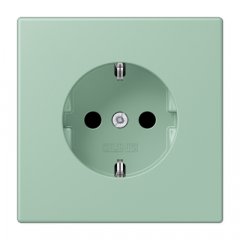 Kontaktligzda SCHUKO, 16 A 250 V ~, ar bērnu drošību, Serie LS, vert anglais clair