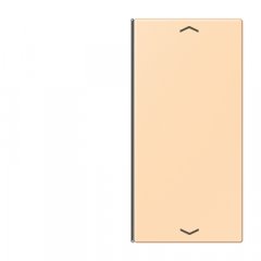 Taustiņs slēdzim 2-viet, ar virzienrādītāju, F40, Serie LS, ocre