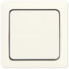 Taustiņs 1-viet, duroplasts, ST 550, ziloņkaula