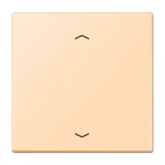 Taustiņs KNX slēdzim, ar virzienrādītāju 1-viet, Serie LS, ocre