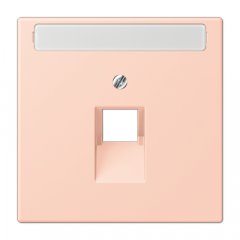 Virsma IAE/UAE-datu rozetei 1 x 8-polig, marķējams, termoplasts lakots, Serie LS, l'ocre rouge clair