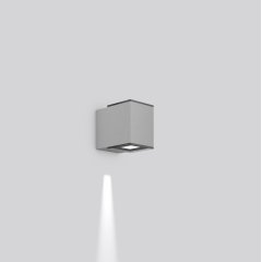 Gaismeklis ZONO PRO, 12 W, 250 lm, 830, silver, DALI Wall luminaires, L 100 B 154 H 127, Transparent glass