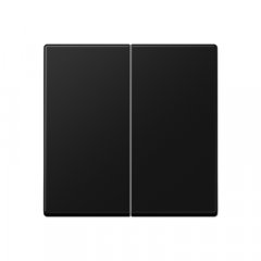 LB-Management taustiņš 2-viet, termoplasts krāsots, Serie A, grafītmelns matēts