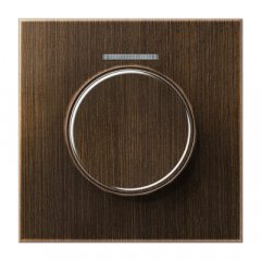 Centrālplate ar indikācijas logu KNX rotējošajam sensoram, Messing, Serie LS, Messing antik