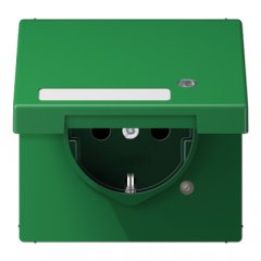 Kontaktligzda SCHUKO, 16 A 250 V ~, ar indikātoru, marķējams, ar bērnu drošību un vāciņu, termoplast zaļš