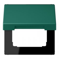 Rozetes vāks ar atsperi, termoplasts krāsots, Serie LS, vert anglais