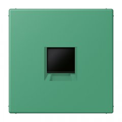 Virsma (ar fiksatoru) modulārai datu rozetei 1-vietīga, UMA-CAT6A, termoplasts lakots, Serie LS, vert 59