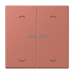 JUNG HOME taustiņš 2-viet, ar bultiņu simboliem<br />
, Serie LS, terre sienne brique