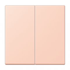 Taustiņs KNX slēdzim  2-viet, Serie LS, l'ocre rouge clair